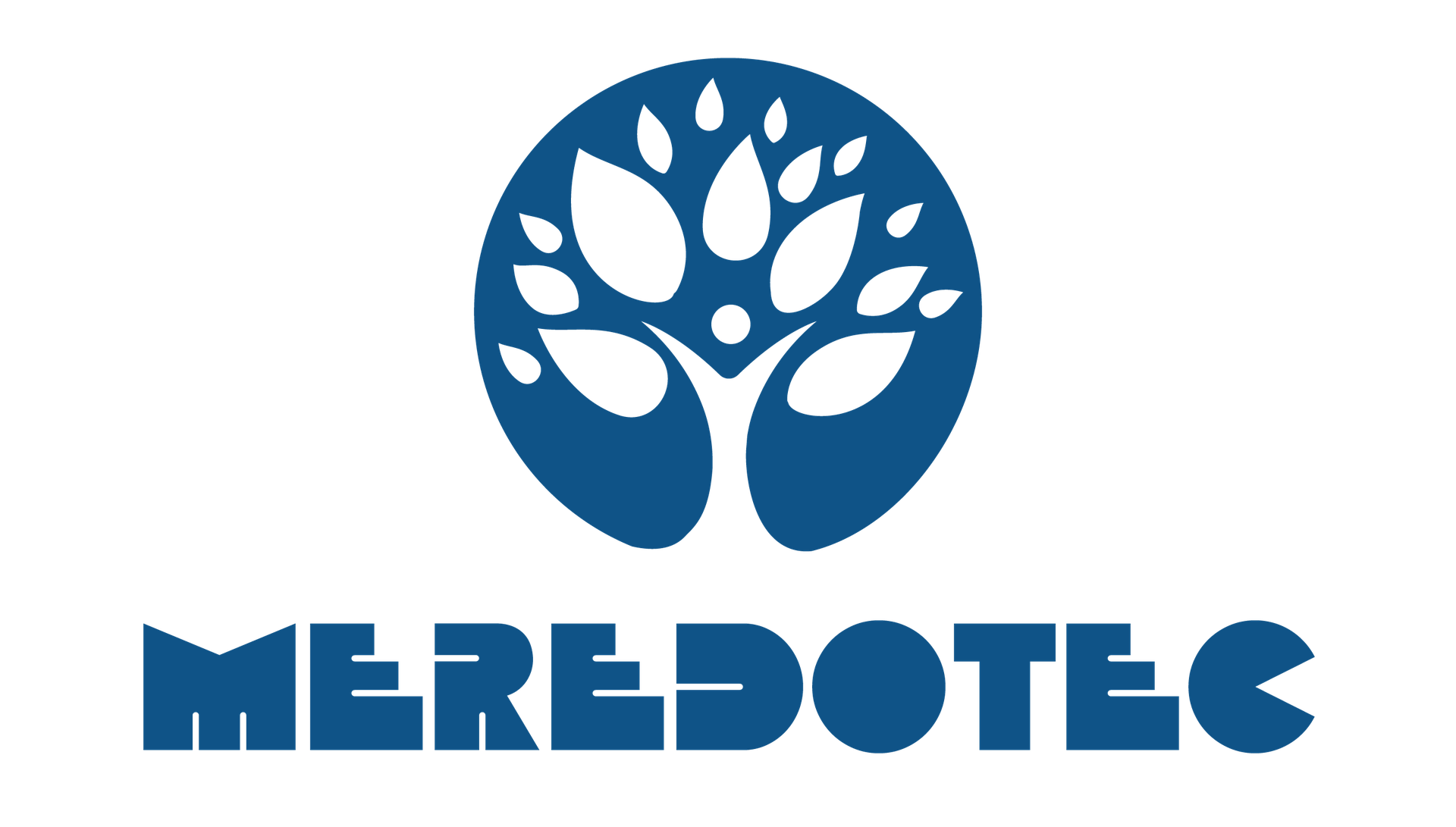 Meredotec Germany GmbH
